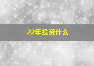 22年投资什么