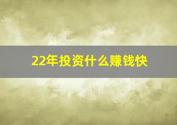 22年投资什么赚钱快