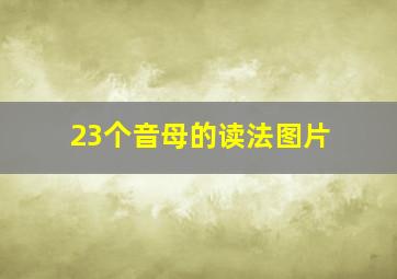 23个音母的读法图片