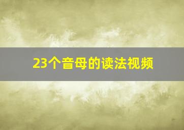 23个音母的读法视频