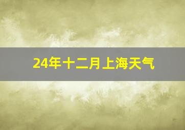 24年十二月上海天气