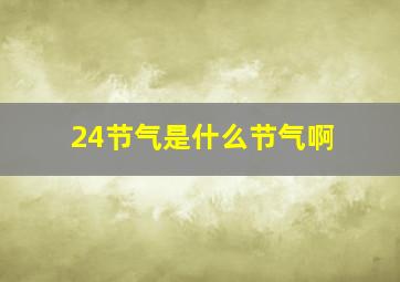 24节气是什么节气啊