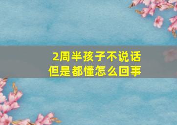 2周半孩子不说话但是都懂怎么回事