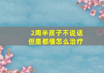 2周半孩子不说话但是都懂怎么治疗