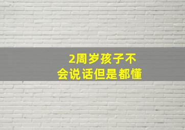 2周岁孩子不会说话但是都懂