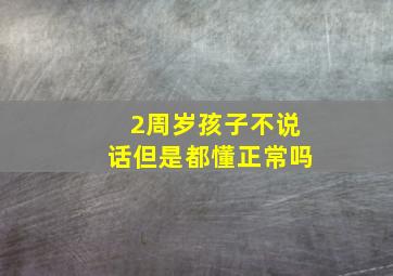 2周岁孩子不说话但是都懂正常吗