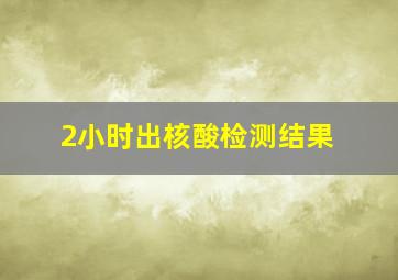 2小时出核酸检测结果