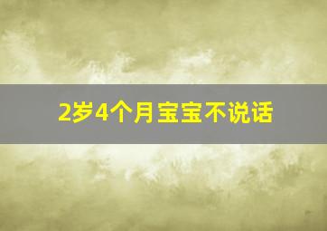 2岁4个月宝宝不说话