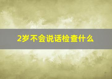 2岁不会说话检查什么