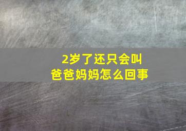 2岁了还只会叫爸爸妈妈怎么回事