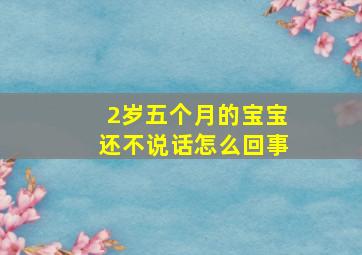 2岁五个月的宝宝还不说话怎么回事