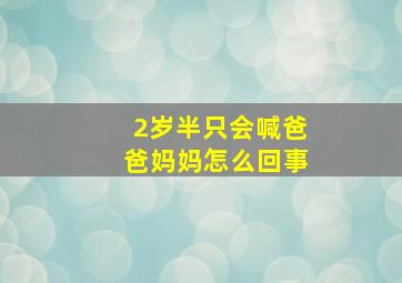 2岁半只会喊爸爸妈妈怎么回事