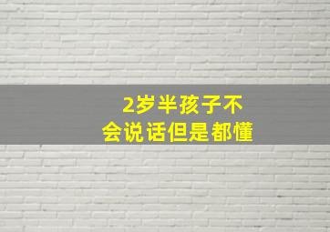 2岁半孩子不会说话但是都懂