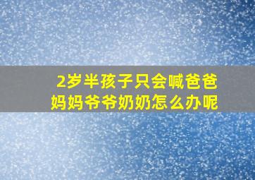 2岁半孩子只会喊爸爸妈妈爷爷奶奶怎么办呢