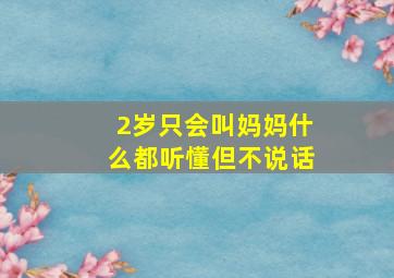 2岁只会叫妈妈什么都听懂但不说话