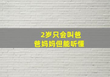 2岁只会叫爸爸妈妈但能听懂