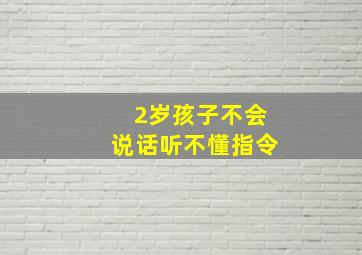 2岁孩子不会说话听不懂指令