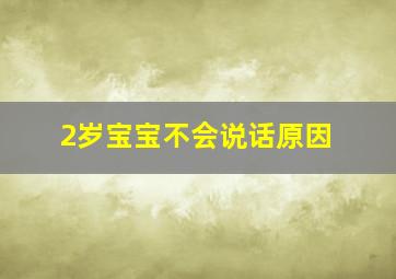 2岁宝宝不会说话原因