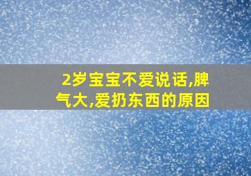 2岁宝宝不爱说话,脾气大,爱扔东西的原因