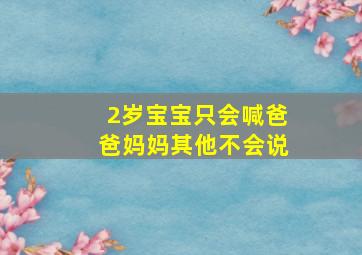 2岁宝宝只会喊爸爸妈妈其他不会说