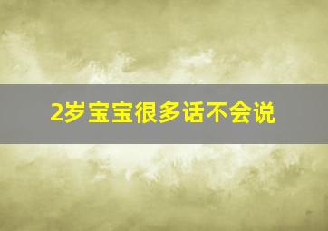 2岁宝宝很多话不会说