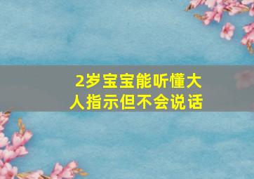 2岁宝宝能听懂大人指示但不会说话