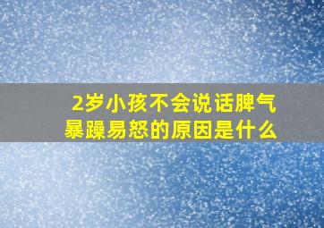 2岁小孩不会说话脾气暴躁易怒的原因是什么