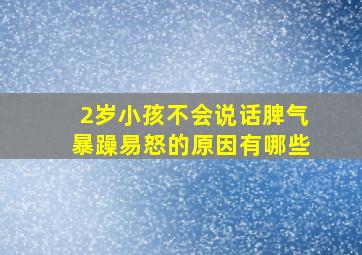 2岁小孩不会说话脾气暴躁易怒的原因有哪些