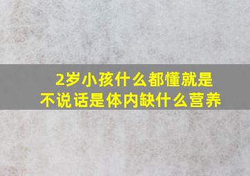 2岁小孩什么都懂就是不说话是体内缺什么营养