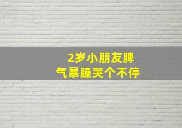 2岁小朋友脾气暴躁哭个不停