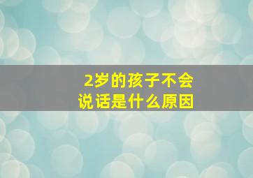 2岁的孩子不会说话是什么原因