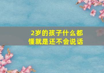 2岁的孩子什么都懂就是还不会说话