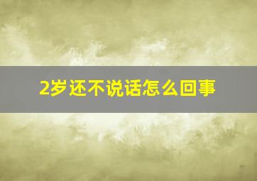 2岁还不说话怎么回事