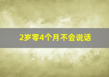 2岁零4个月不会说话