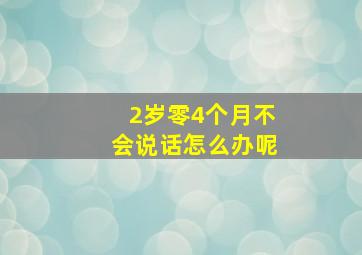 2岁零4个月不会说话怎么办呢