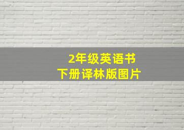 2年级英语书下册译林版图片