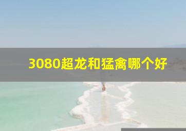 3080超龙和猛禽哪个好