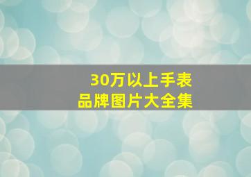 30万以上手表品牌图片大全集