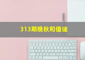 313期晚秋和值谜