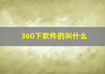 360下软件的叫什么