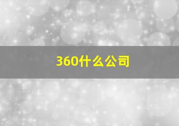 360什么公司