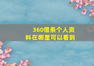 360借条个人资料在哪里可以看到