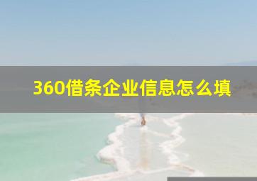 360借条企业信息怎么填