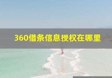 360借条信息授权在哪里