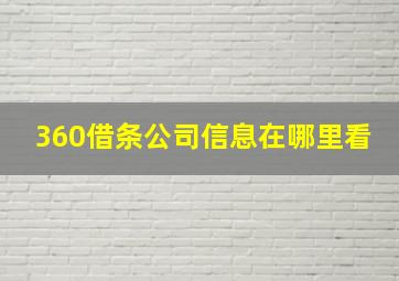 360借条公司信息在哪里看