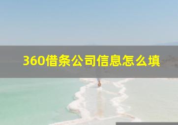 360借条公司信息怎么填