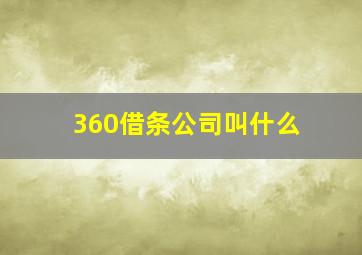 360借条公司叫什么