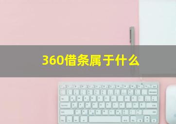 360借条属于什么