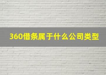 360借条属于什么公司类型