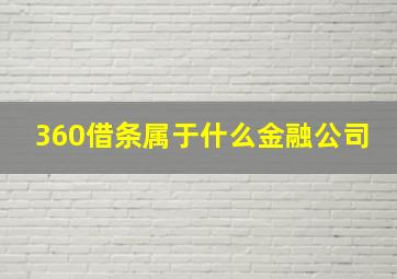 360借条属于什么金融公司